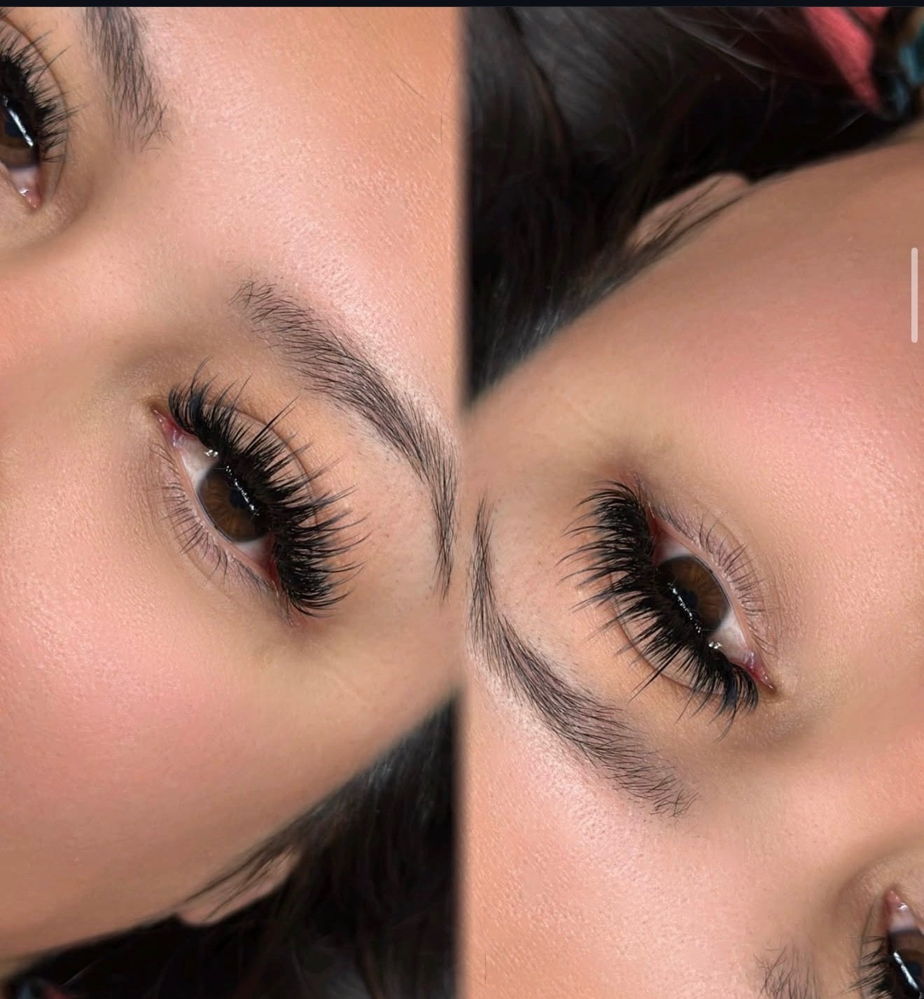 The Softest Lashes You'll Ever Fan — Mega Volume Matte Cashmere .03 | CC & D Curl | 16 Row Mixed Lengths