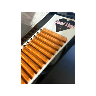 Light Brown Cashmere 12 Row Lash Tray